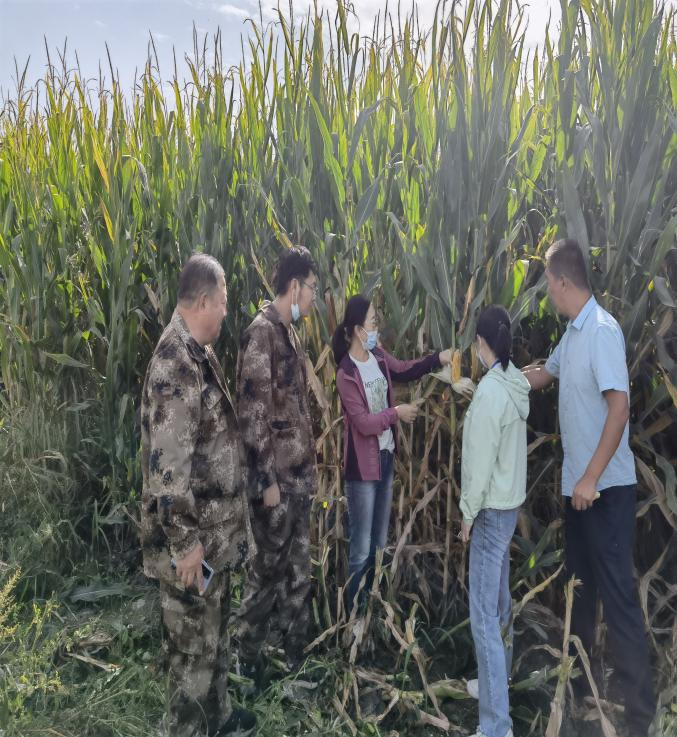 1631952053624696.png 圖片7.png