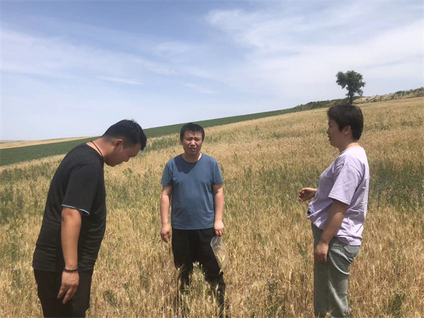 1691749193661613.jpg 圖1.jpg