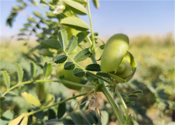 1691749213426377.jpg 圖4.jpg