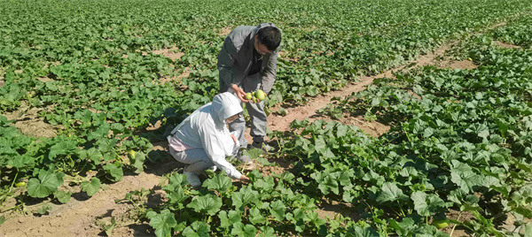 1692159320530857.jpg 圖2.jpg