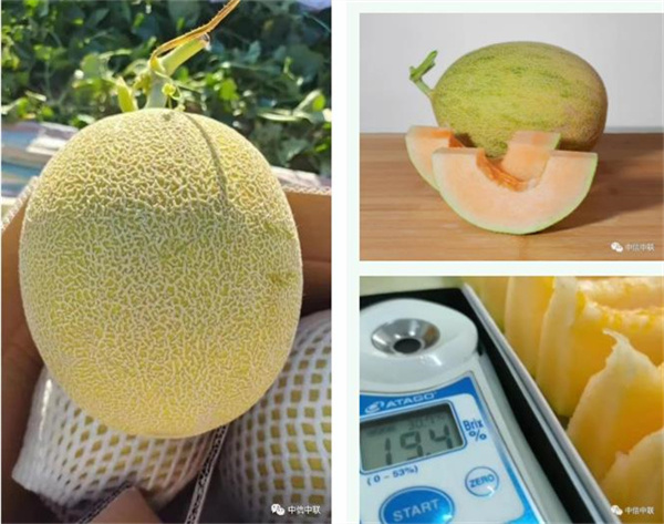 1692159360736026.jpg 圖7.jpg