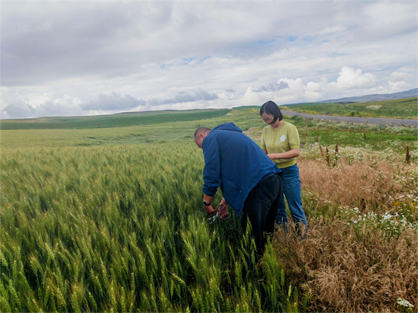 1722823321729567.jpg 圖2.jpg