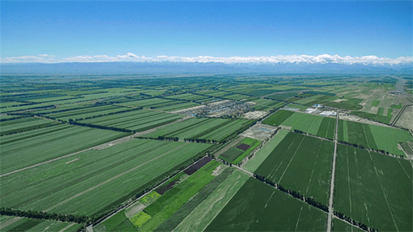 1723533998305241.jpg 圖1.jpg