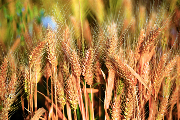 1723534006637689.jpg 圖2.jpg