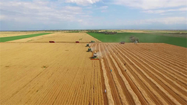 1723534013848564.jpg 圖3.jpg