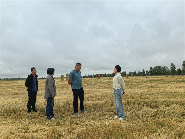 1723534020710394.jpg 圖4.jpg