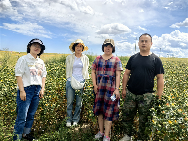 1724037758271967.jpg 圖1.jpg