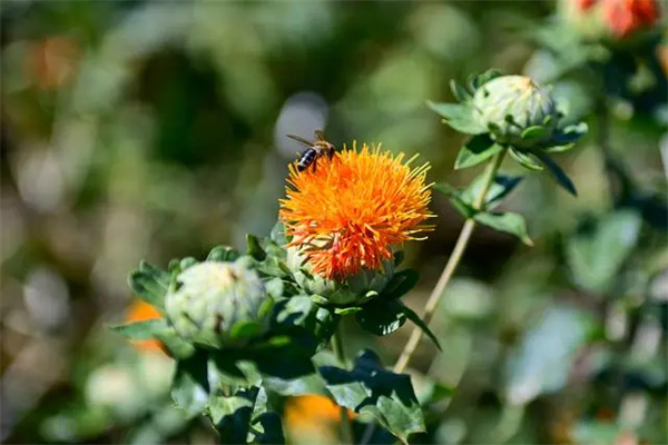 1724037771198464.jpg 圖2.jpg