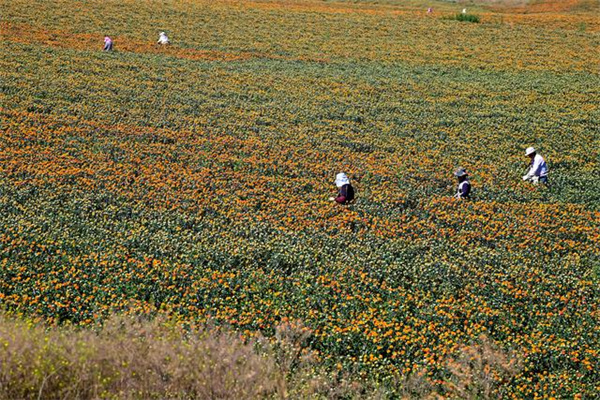 1724037779972513.jpg 圖3.jpg