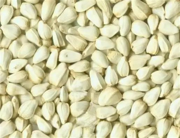 1724037787522646.jpg 圖4.jpg