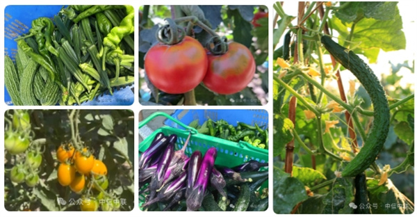 1724400922800496.jpg 圖5.jpg