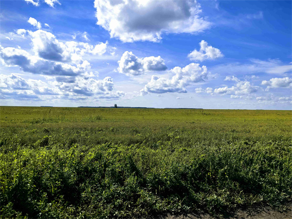 1726646366468830.jpg 圖3.jpg