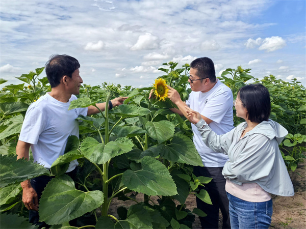 1726646398672932.jpg 圖5.jpg