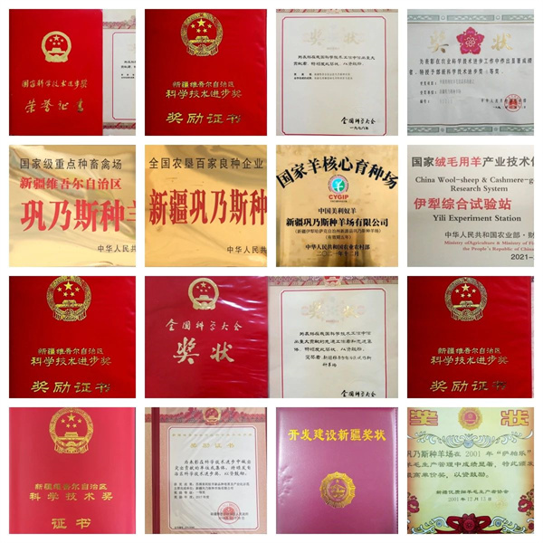 1731484350440307.jpg 圖4.jpg