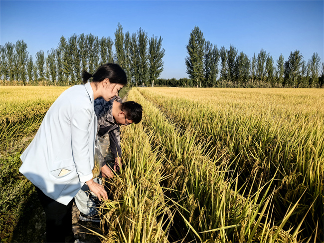 1733454178455392.jpg 圖1.jpg