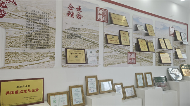 1733454230241263.jpg 圖7.jpg