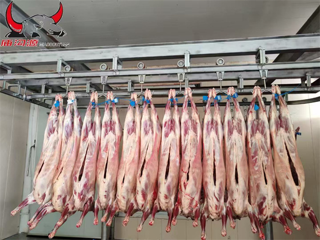 1757327155610557.jpg 產(chǎn)品3.jpg